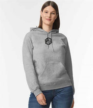 Load image into Gallery viewer, Project U - Diamond Hoody - Grey
